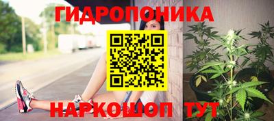 ECSTASY Гуково