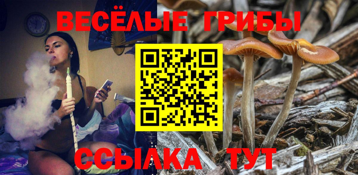 Галлюциногенные грибы Кострома